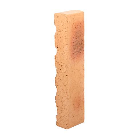 TERREAL Okrasná cihlička - skvrnitá, plochá 22x3x5cm Parkanex