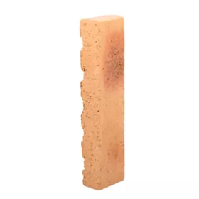 TERREAL Okrasná cihlička - skvrnitá, plochá 22x3x5cm Parkanex